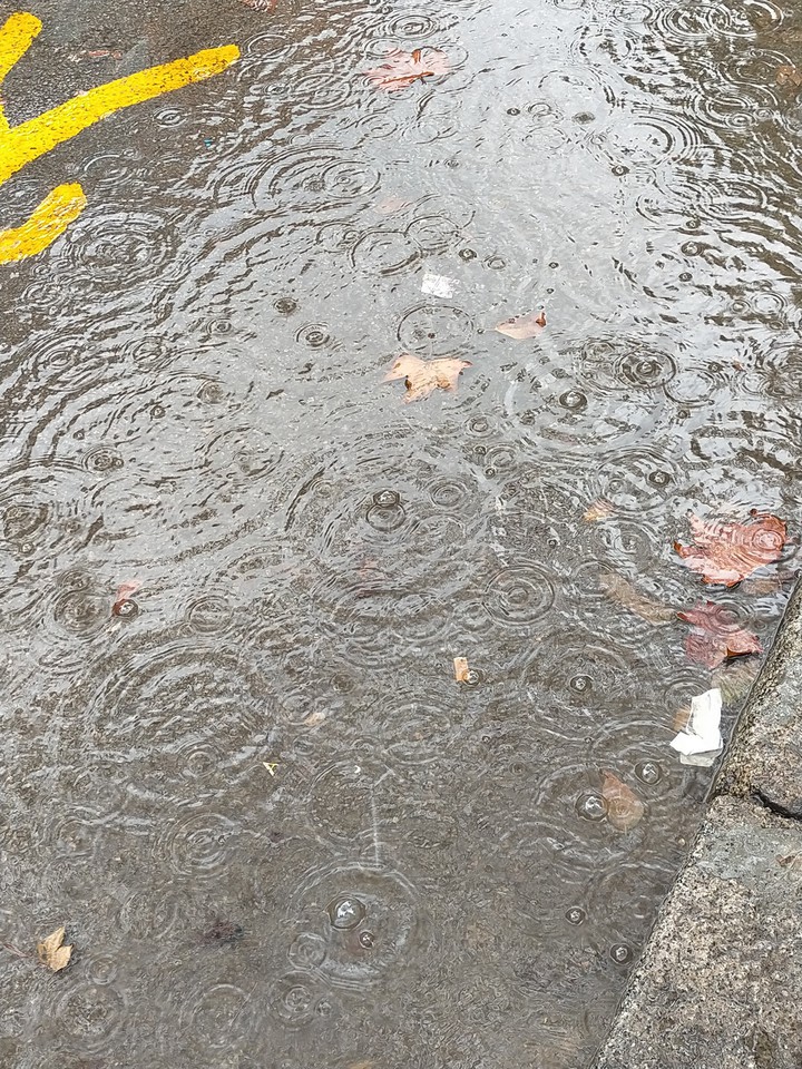 agua
