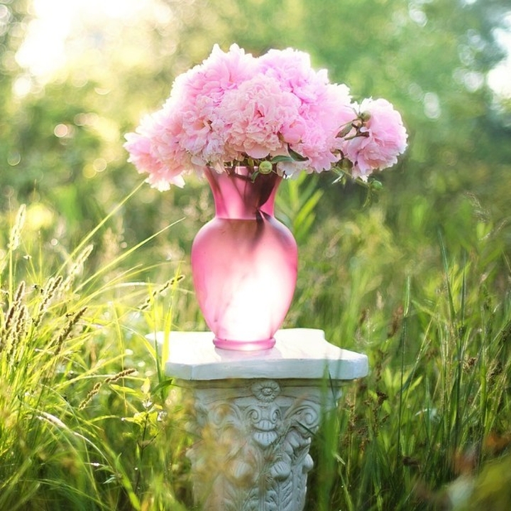 Vaso di fiori su colonna