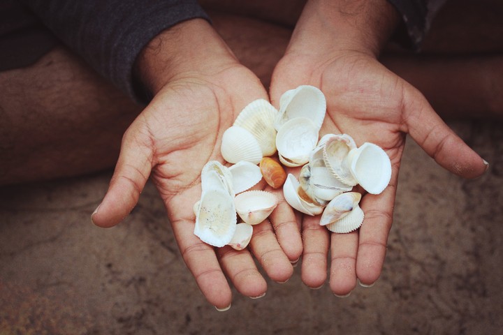 shell