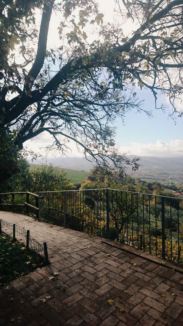 Nature