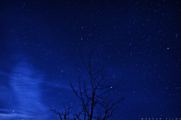 stars #2