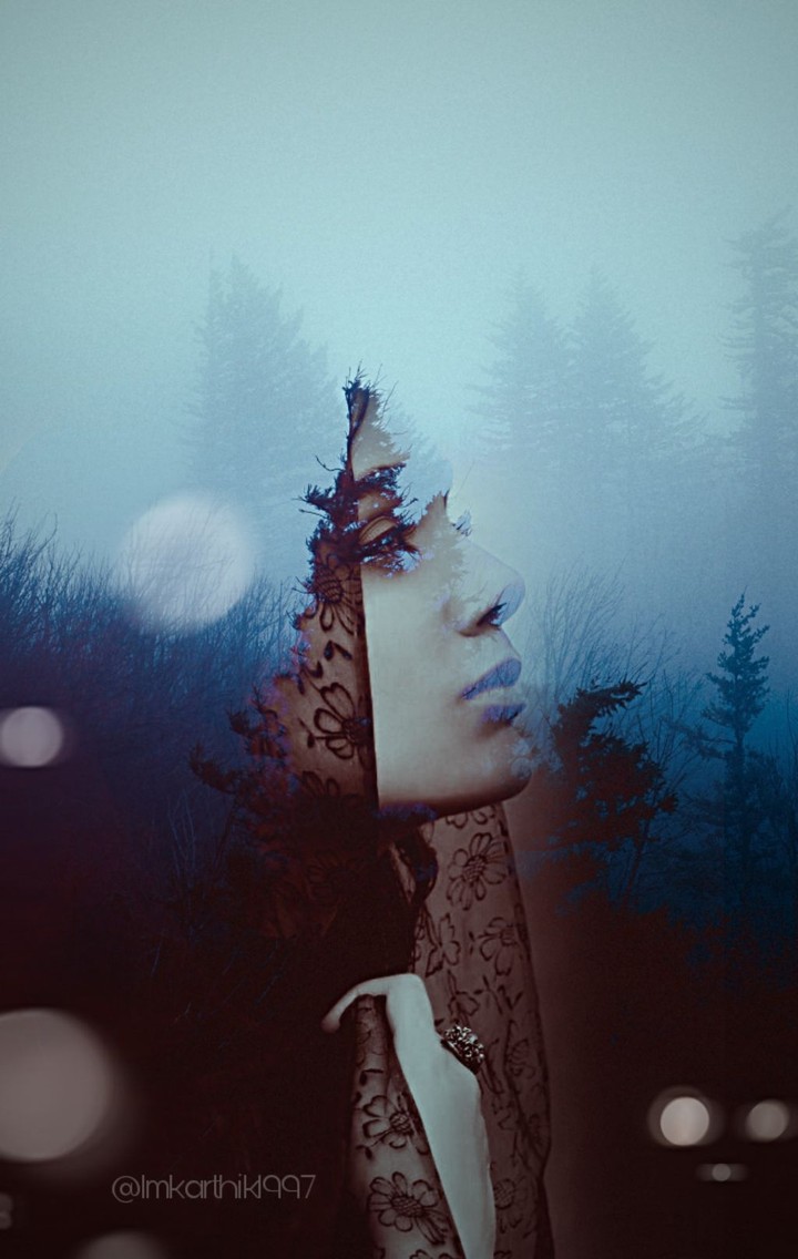 Memories hidden in the woods