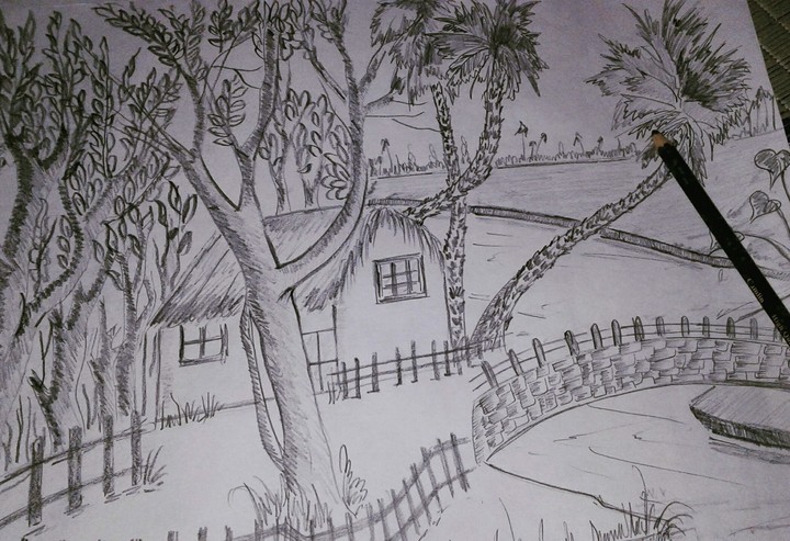 pencil sketch