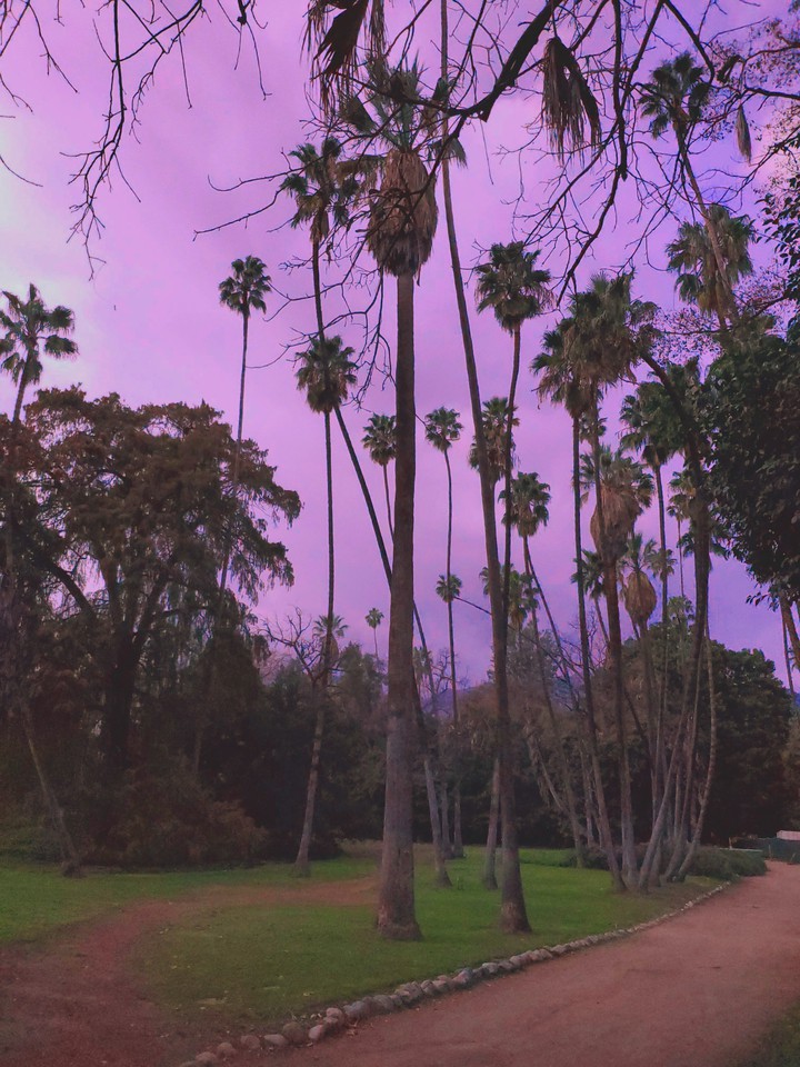 pink sky