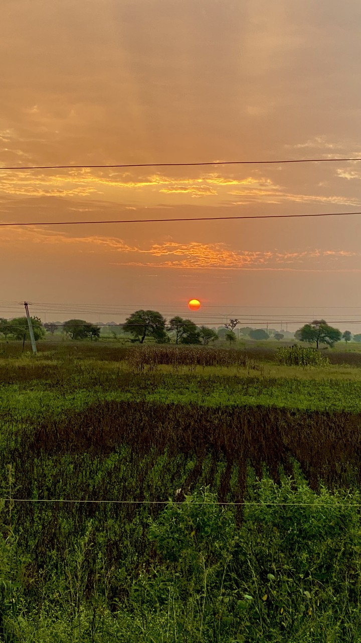 beautiful morning