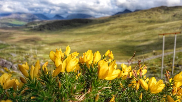 somewhere on the grassy hills of Ireland