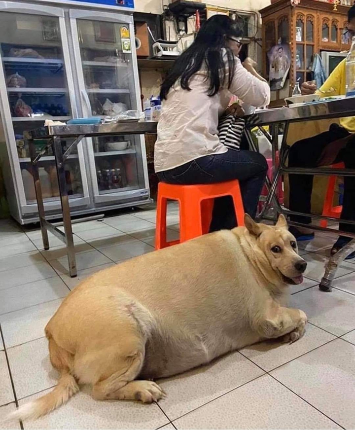 I aint fat