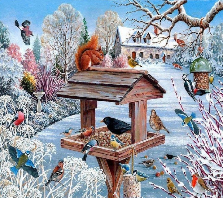 Bird Federer.. cottage