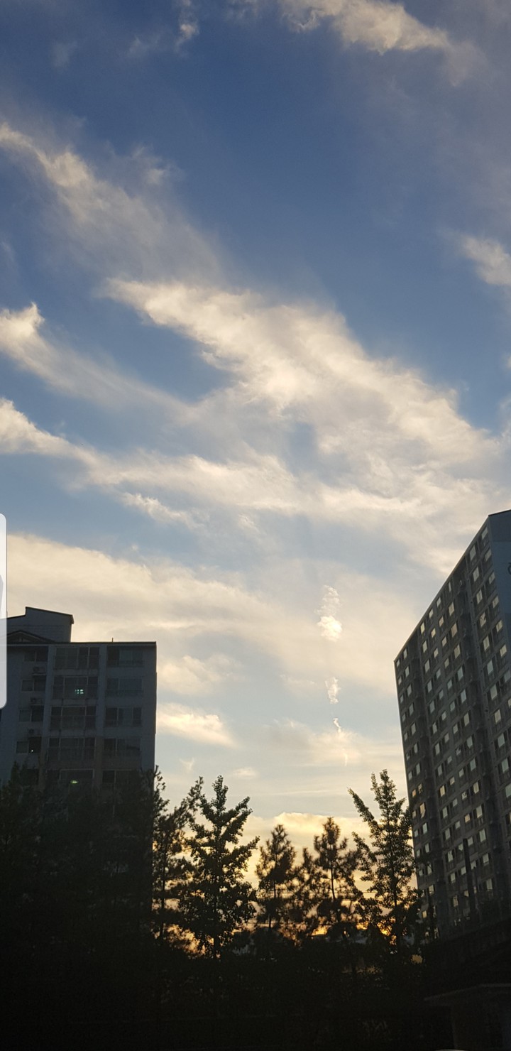 노으을.