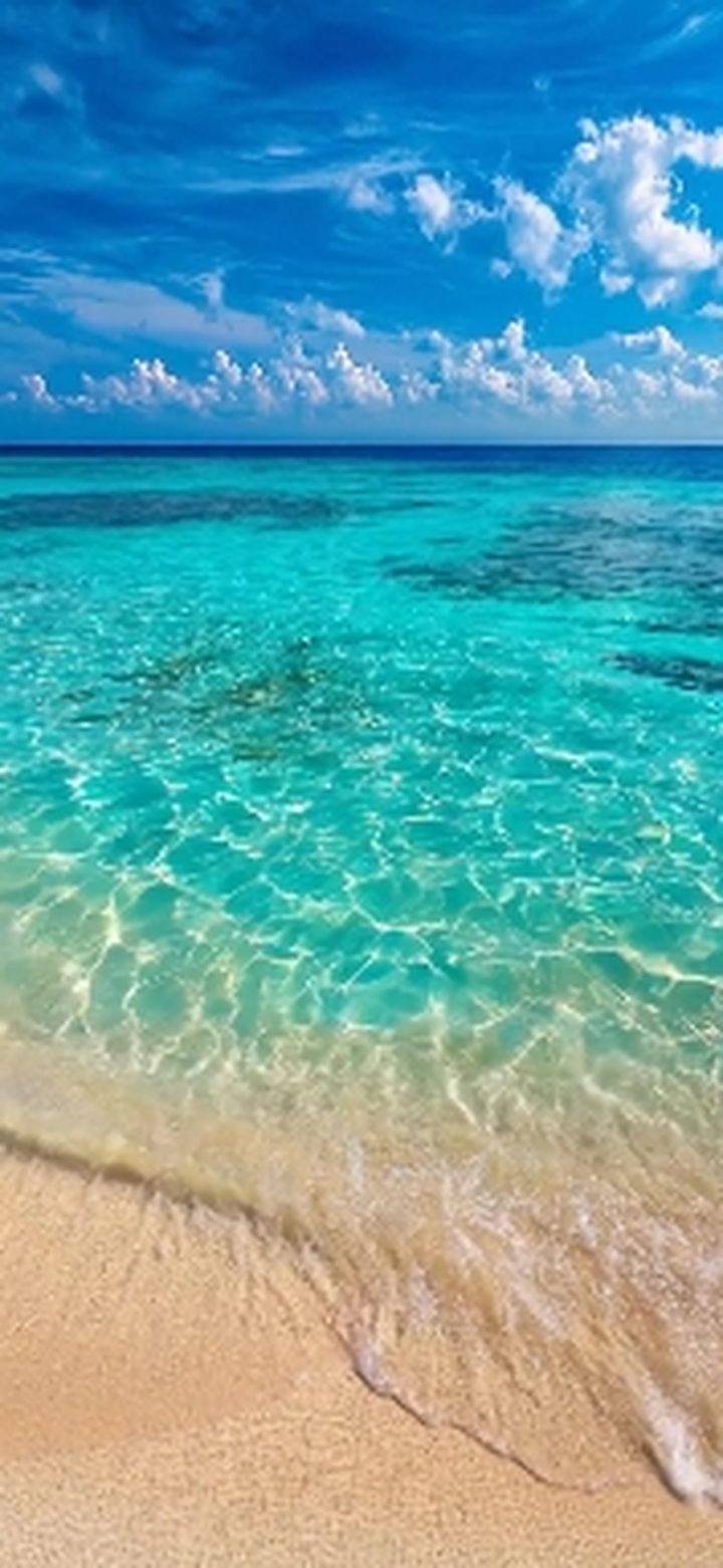 Melody of Sea