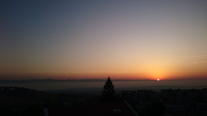 Morning