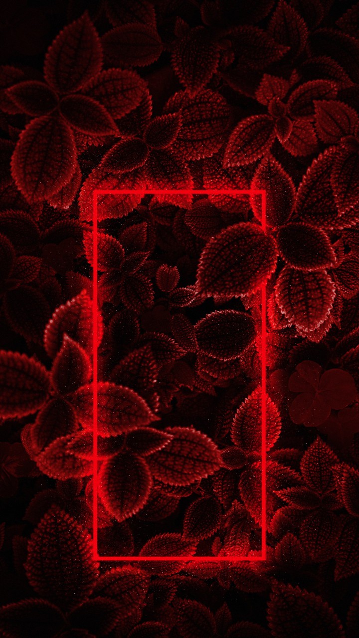 Mint and Light Red