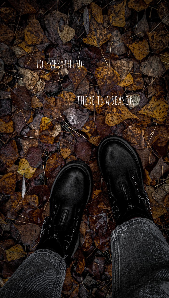 to everything there's a season