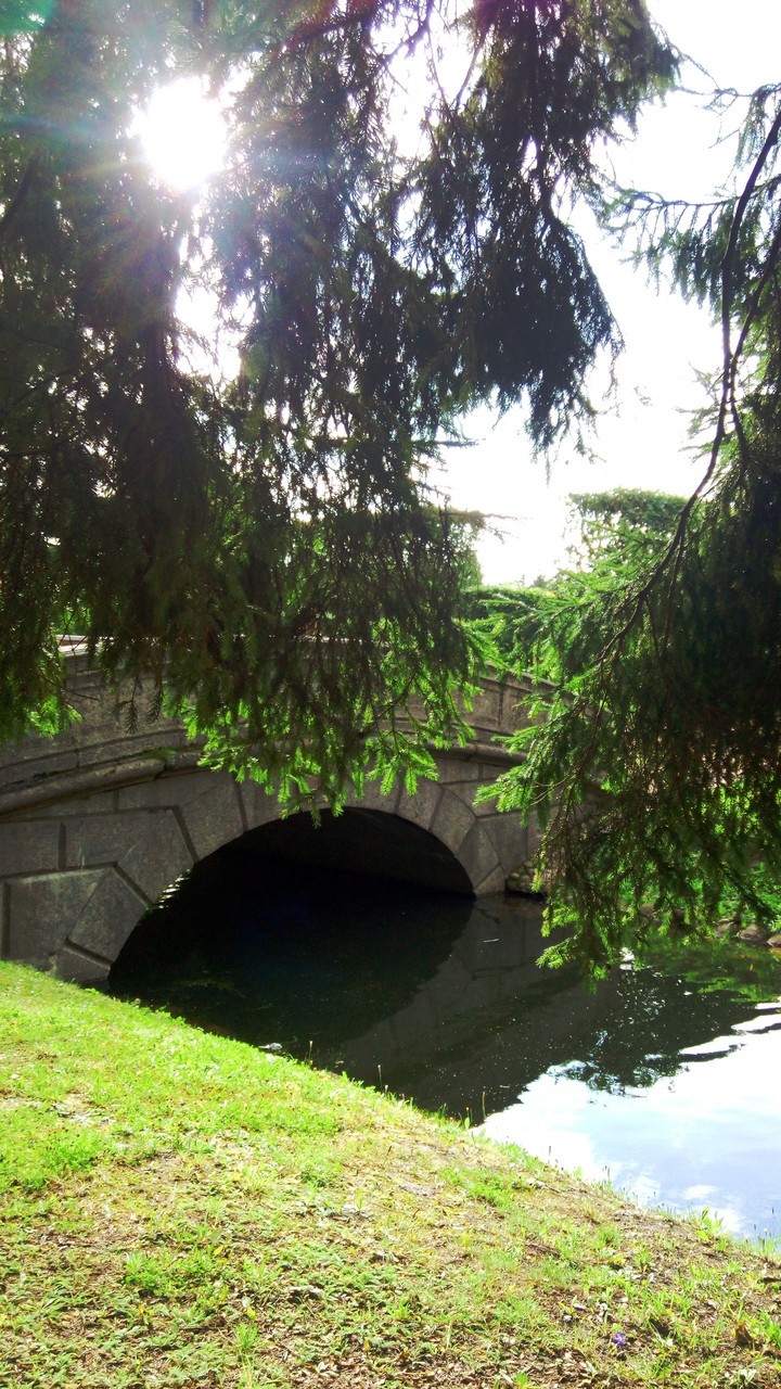 царское село
