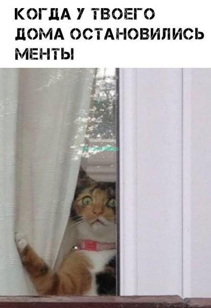 Когда у твоего домп оста