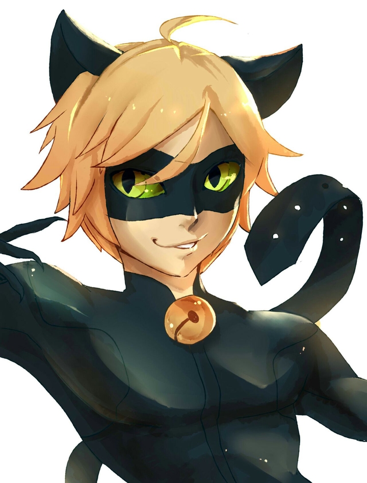 Chat Noir
