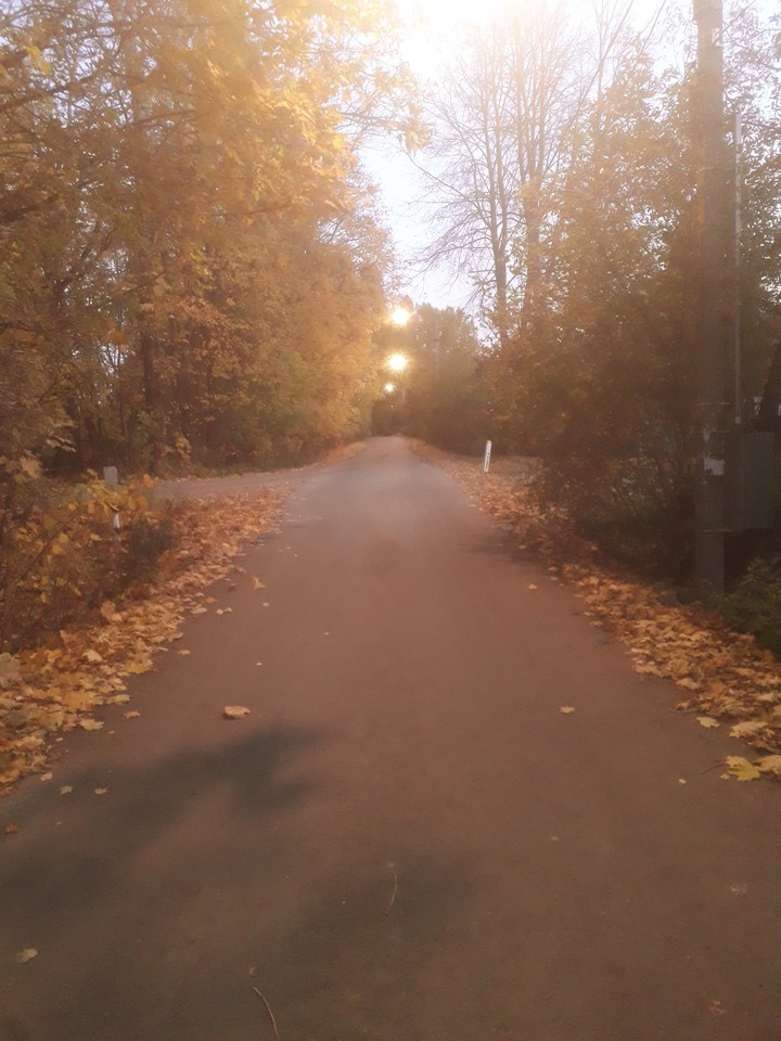 прогулка