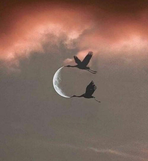 달빛, 대기층 배경화면