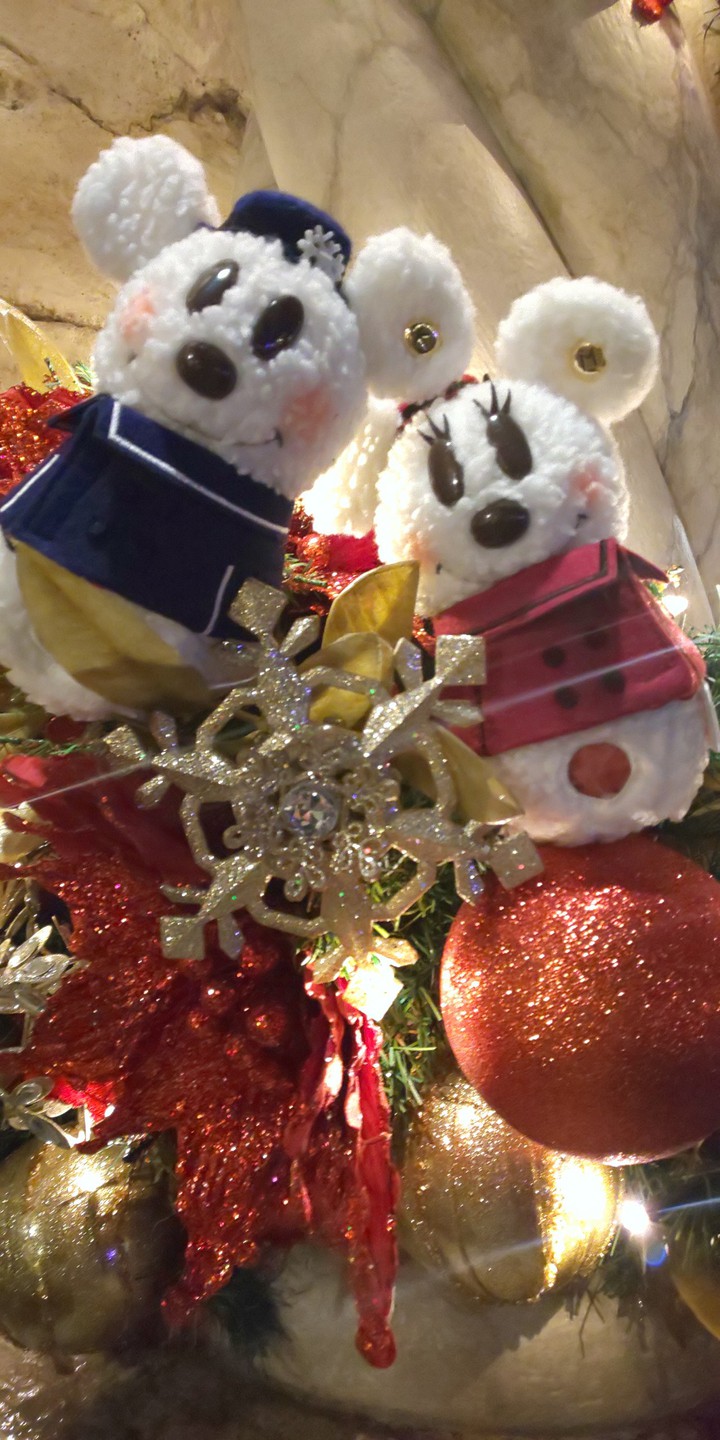 スノースノー