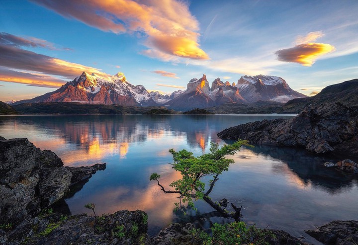 nature