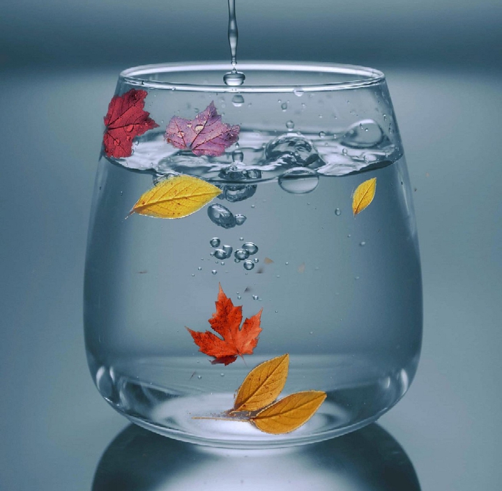 Autumn leaves in Water