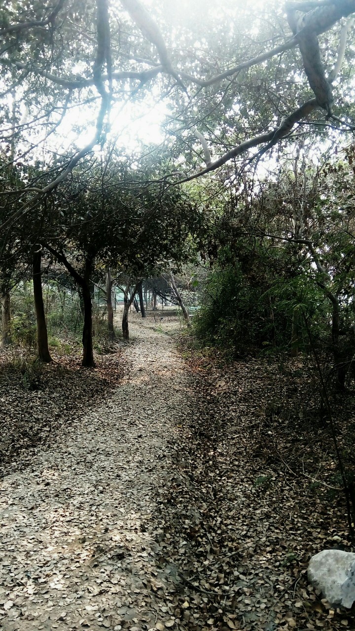 THE WAY