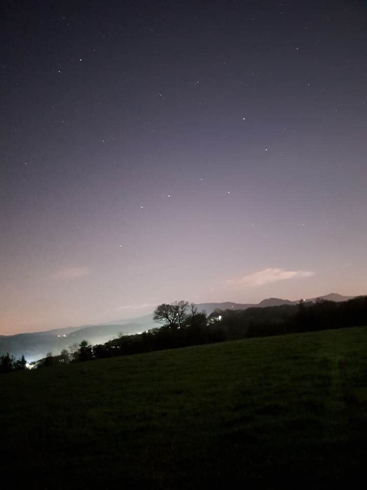 Stars