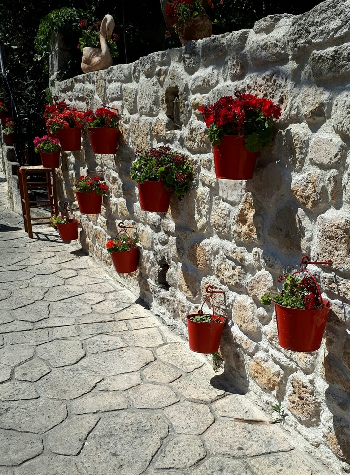Flawers on the wall