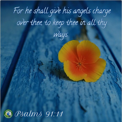 Bíblie