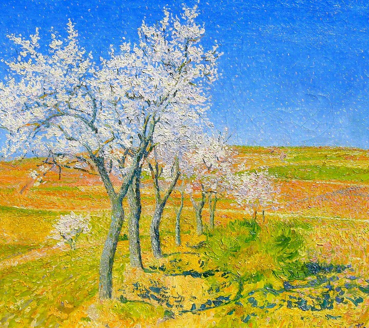 Oil on Canvas
