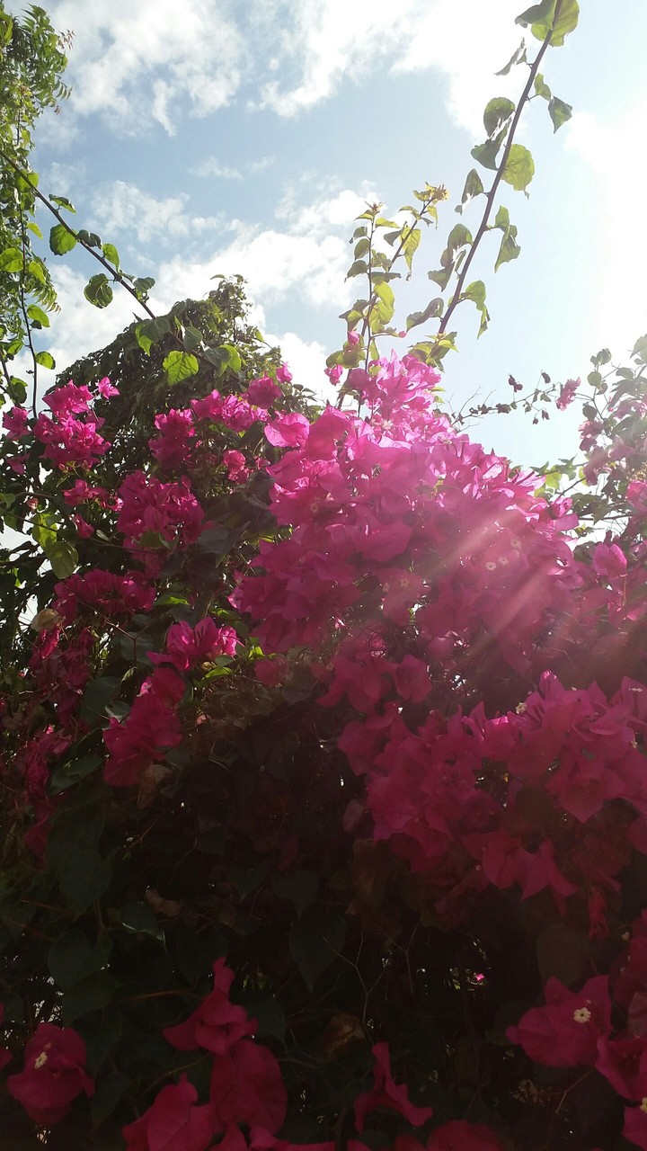 close to nature