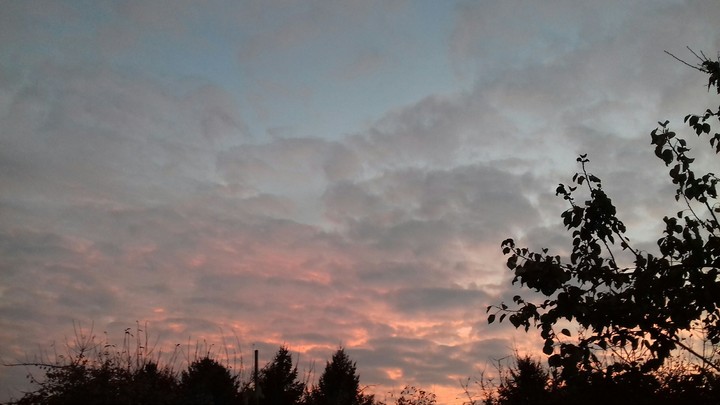 Morning Cloud
