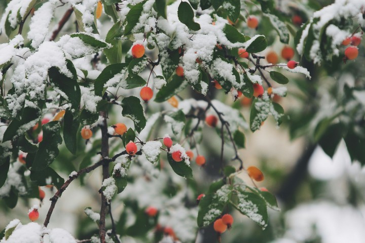 chilly winter mornings