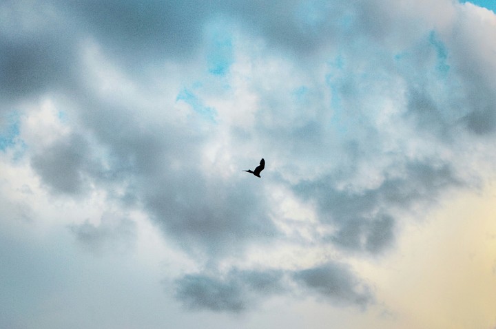 in the sky