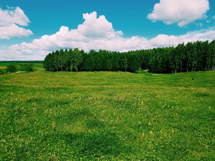 Лето 