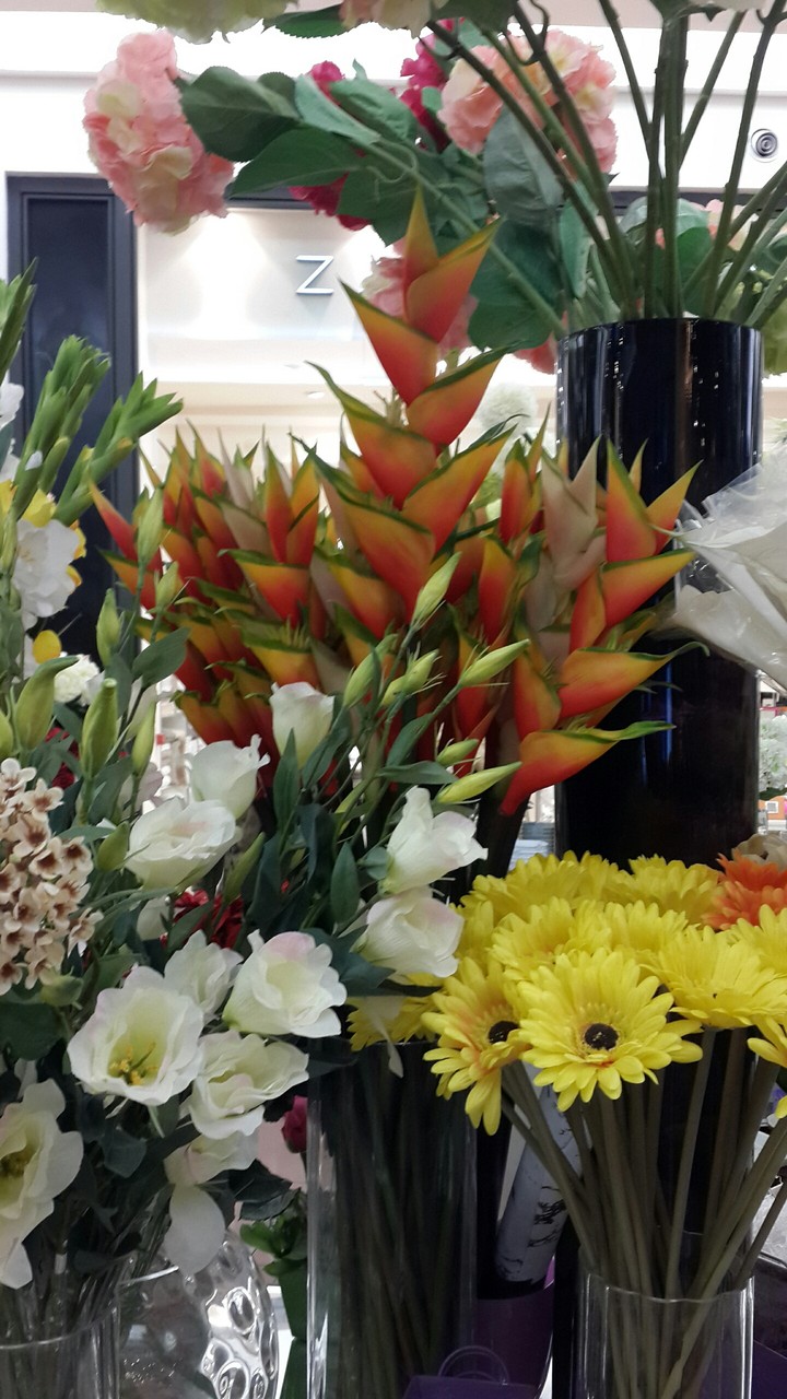 flowers