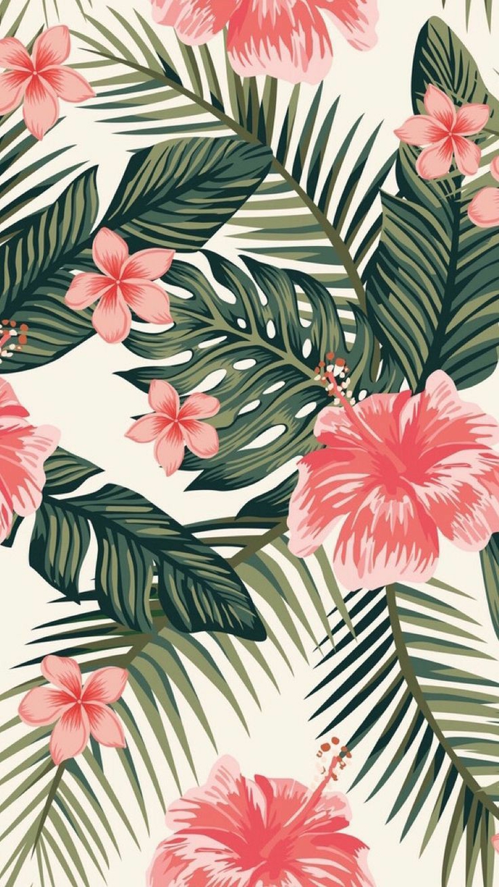 summer / creative / plants || лето / креатив / растения
