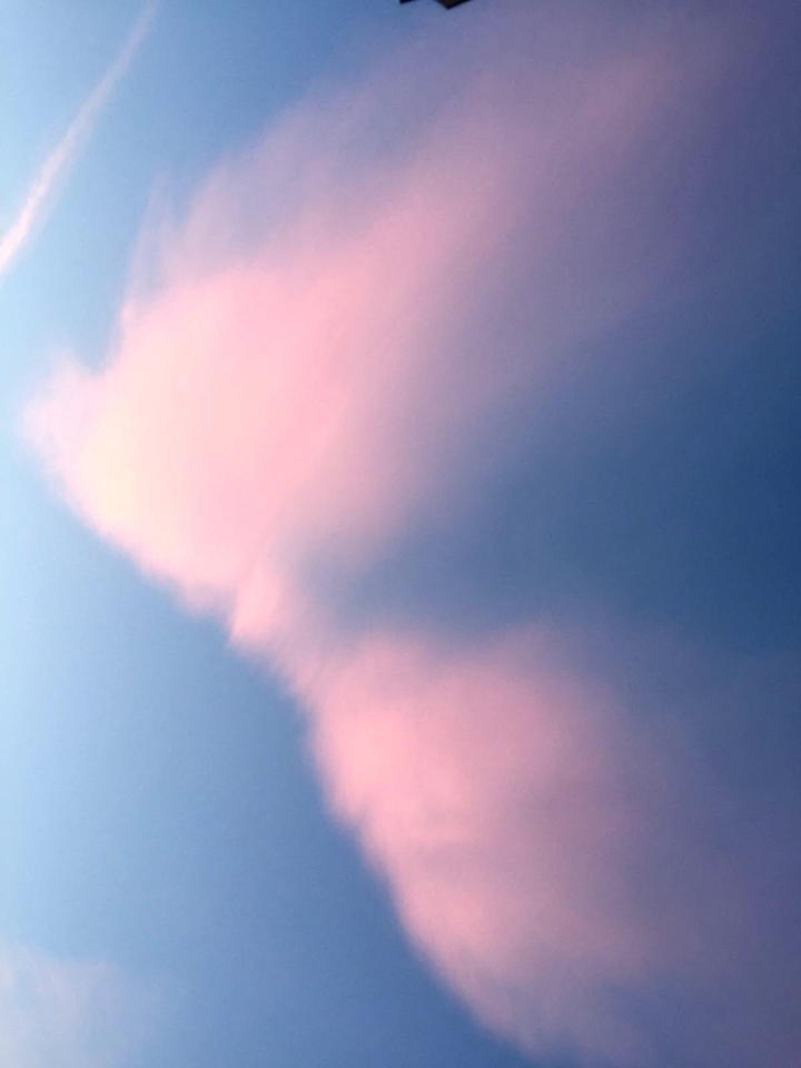 Cloud bird