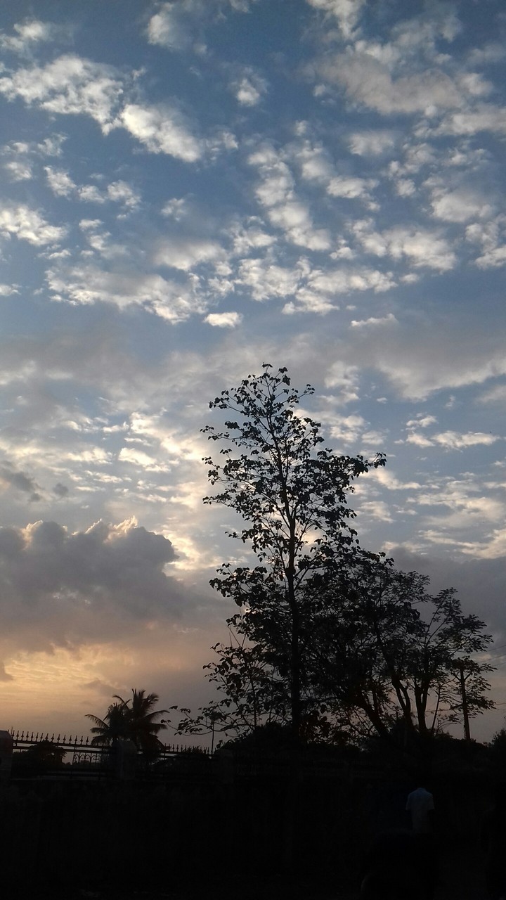 dusk at annamalai