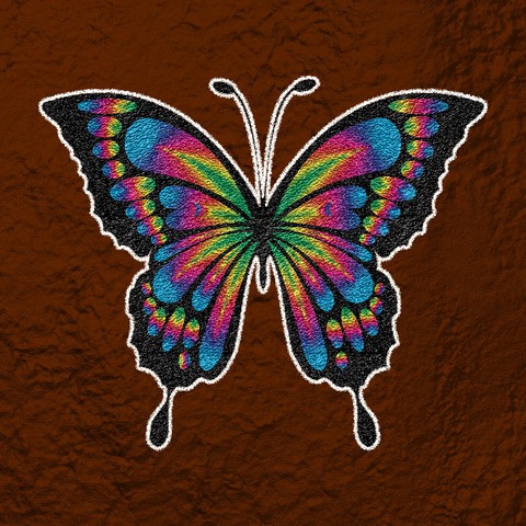 butterfly ?
