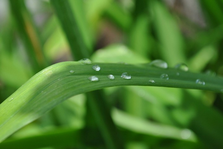 After rain