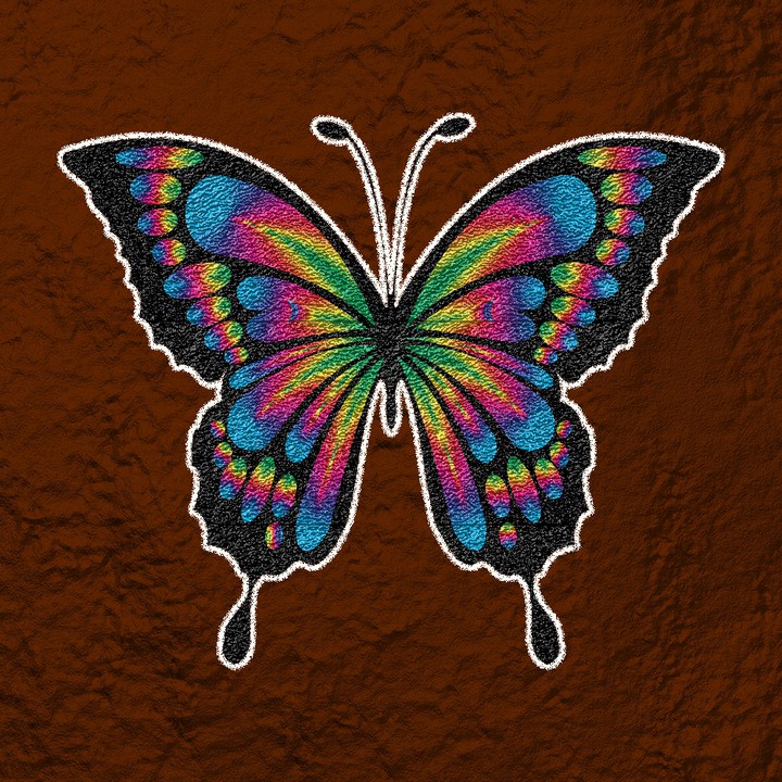 butterfly ?