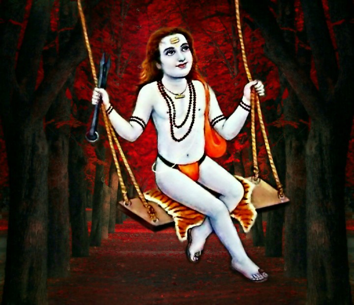 Baba balaknath ji