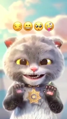 funny cat LIVE