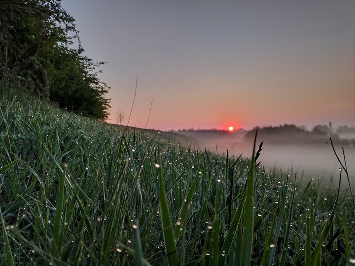 sunrise and grass 1 capture