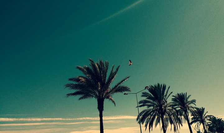 summer time