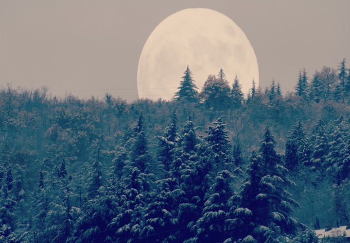 luna invernale