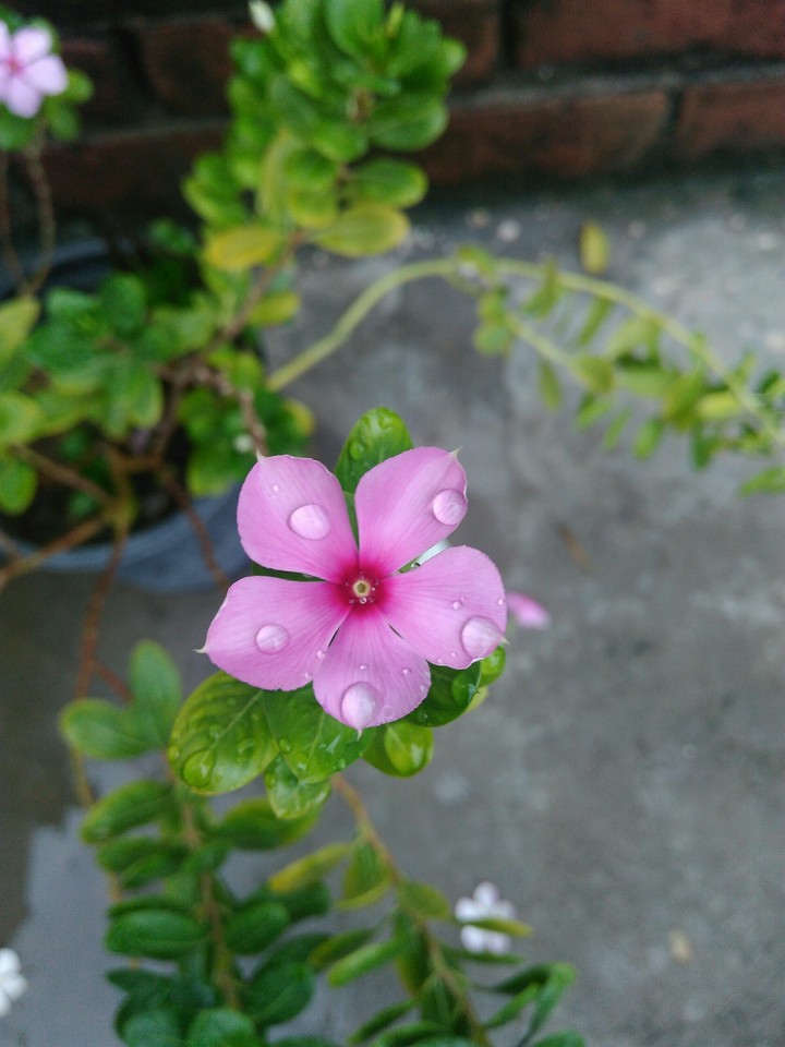 nature_is_beautiful_