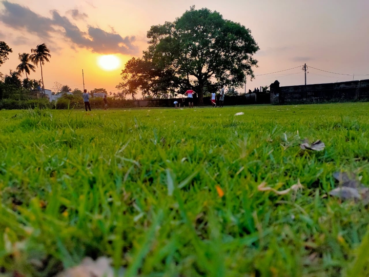 Beautiful Sunset