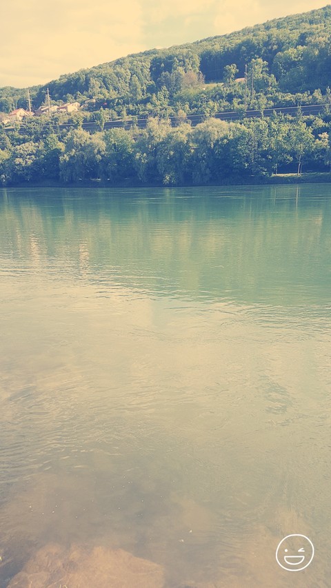 rhein